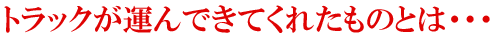 トラックが運んできてくれたものとは・・・
